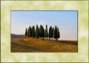 VAL D' ORCIA